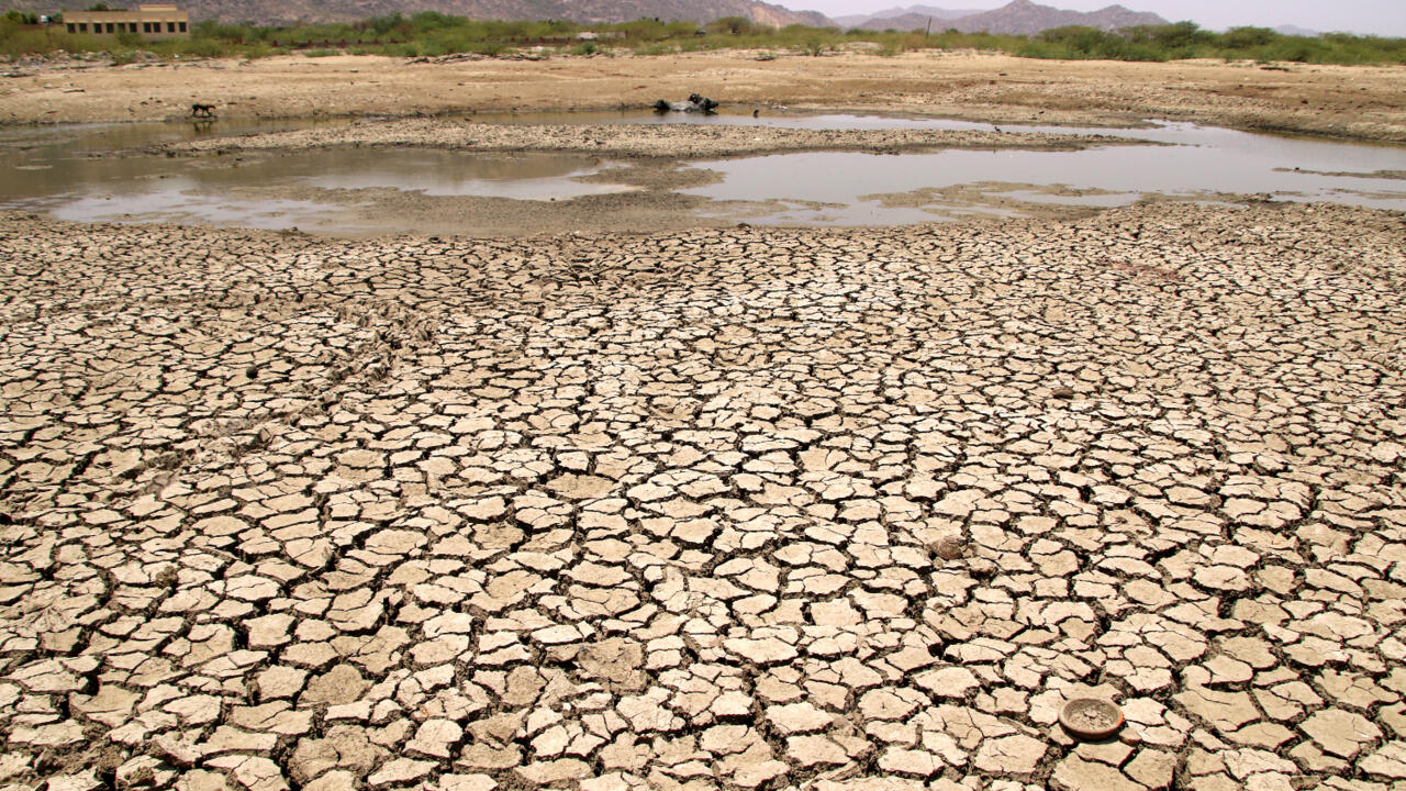 Inde: une canicule fait des ravages entre pénuries d’eau et décès dans le Nord