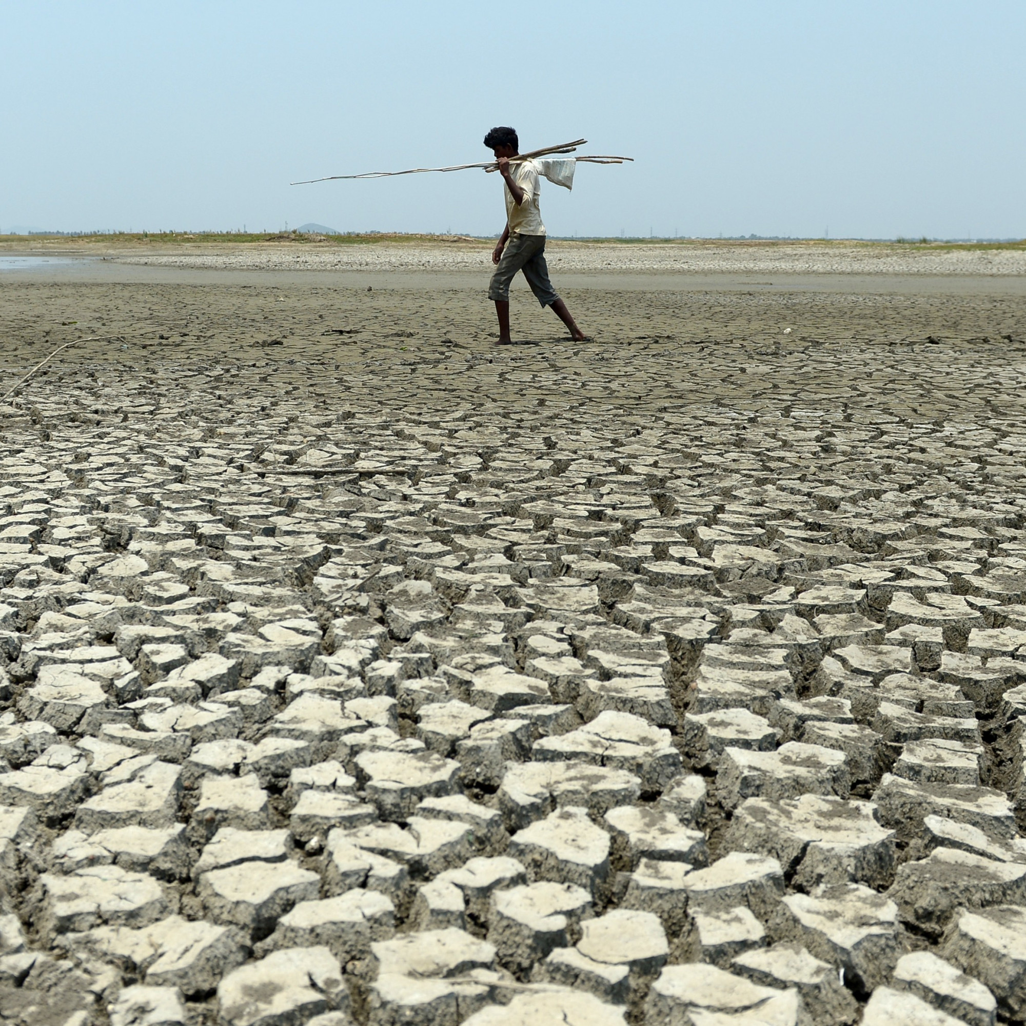 D'ici 2100, jusqu'à 75 % des habitants de la planète risquent de mourir de chaud