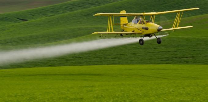 Pesticides : informations et actualités
