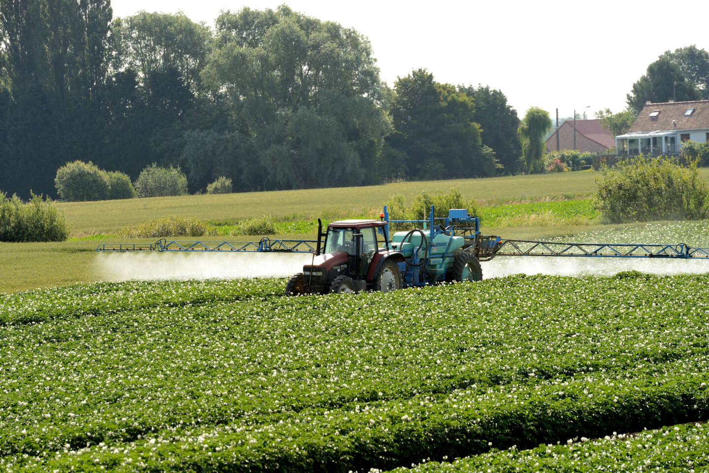 Pesticides : des substances toxiques, invisibles et omniprésentes