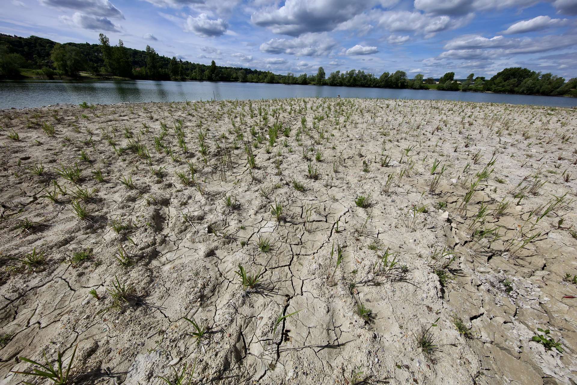 Canicule et sécheresse : 10 conséquences déjà critiques