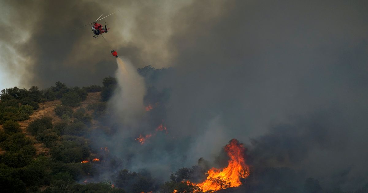Feux et coupures de courant en Europe où la canicule bat des records