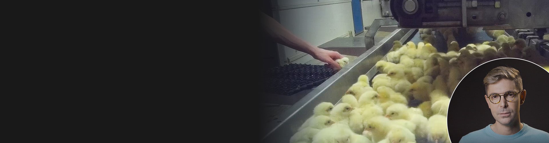 L214 : Agir pour les animaux