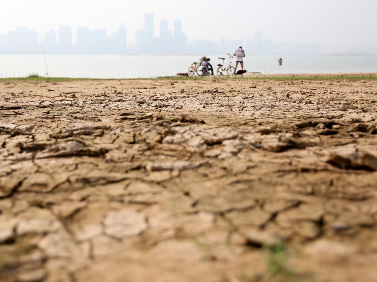 Réchauffement climatique : +5°C si on ne fait rien