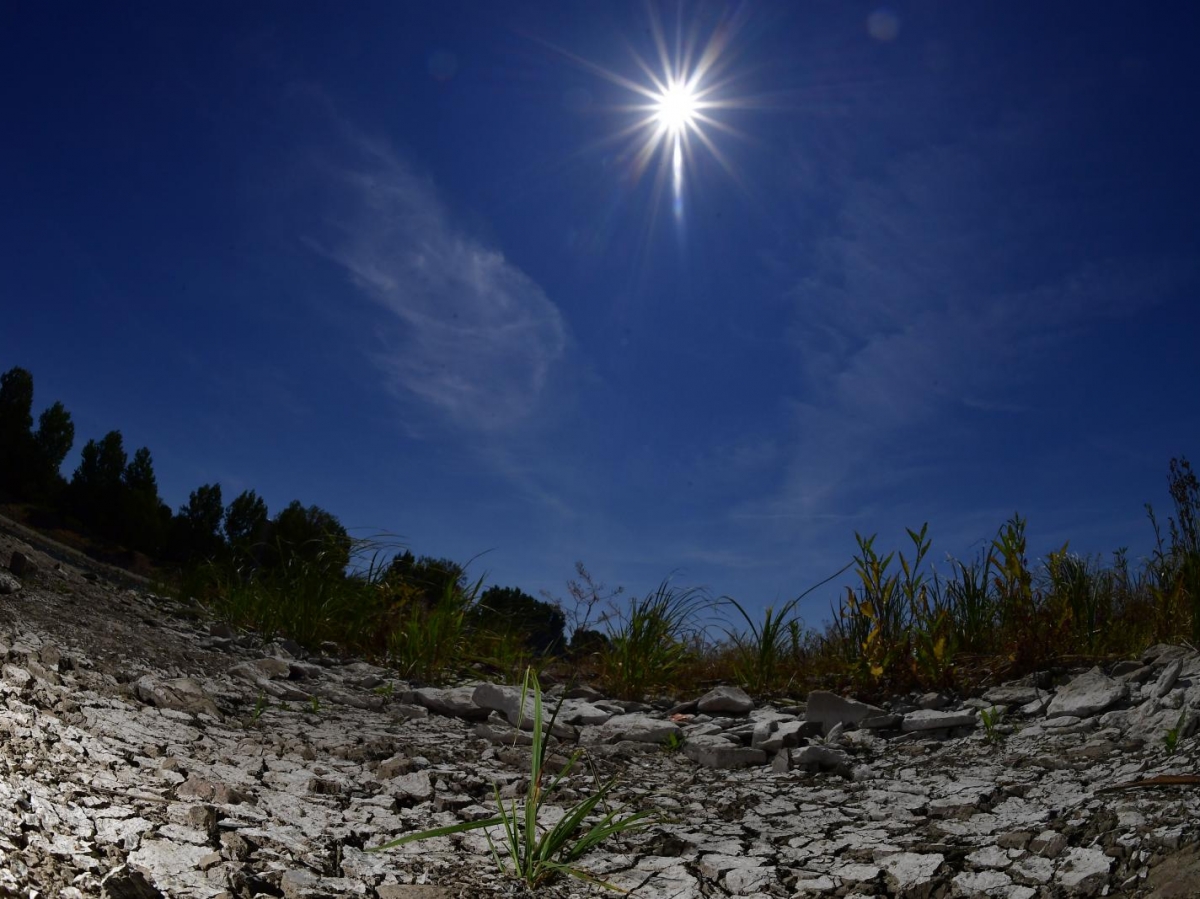 Canicule : les vagues de chaleur deux fois plus fréquentes d'ici 2050