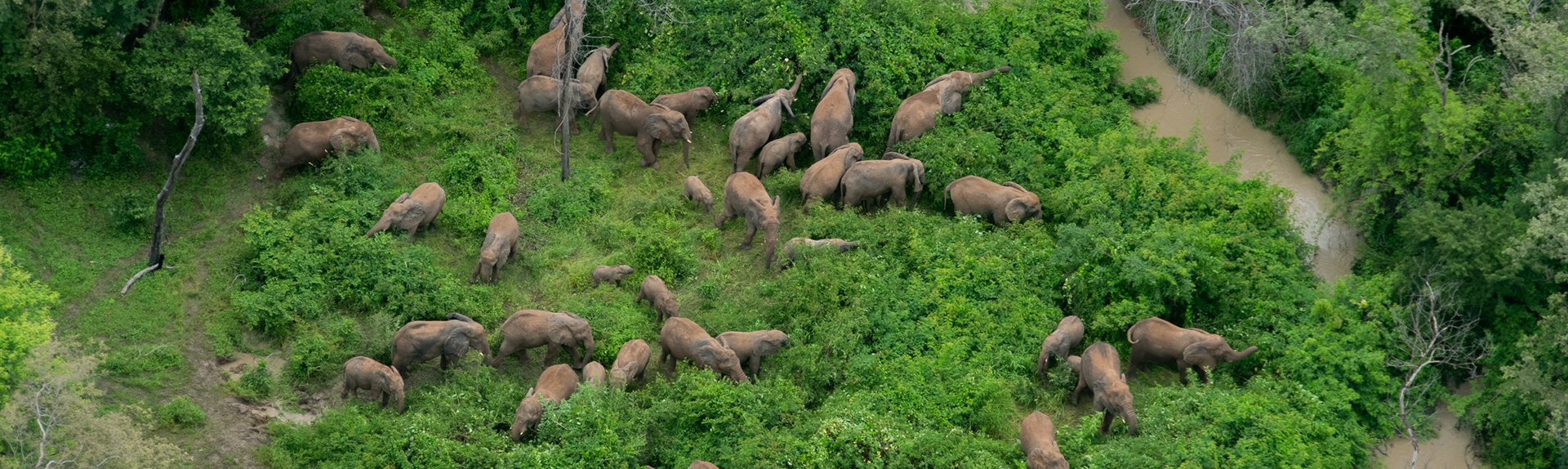 Association pour la biodiversité - Noe.org