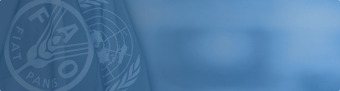 Food and Agriculture Organization of the United Nations