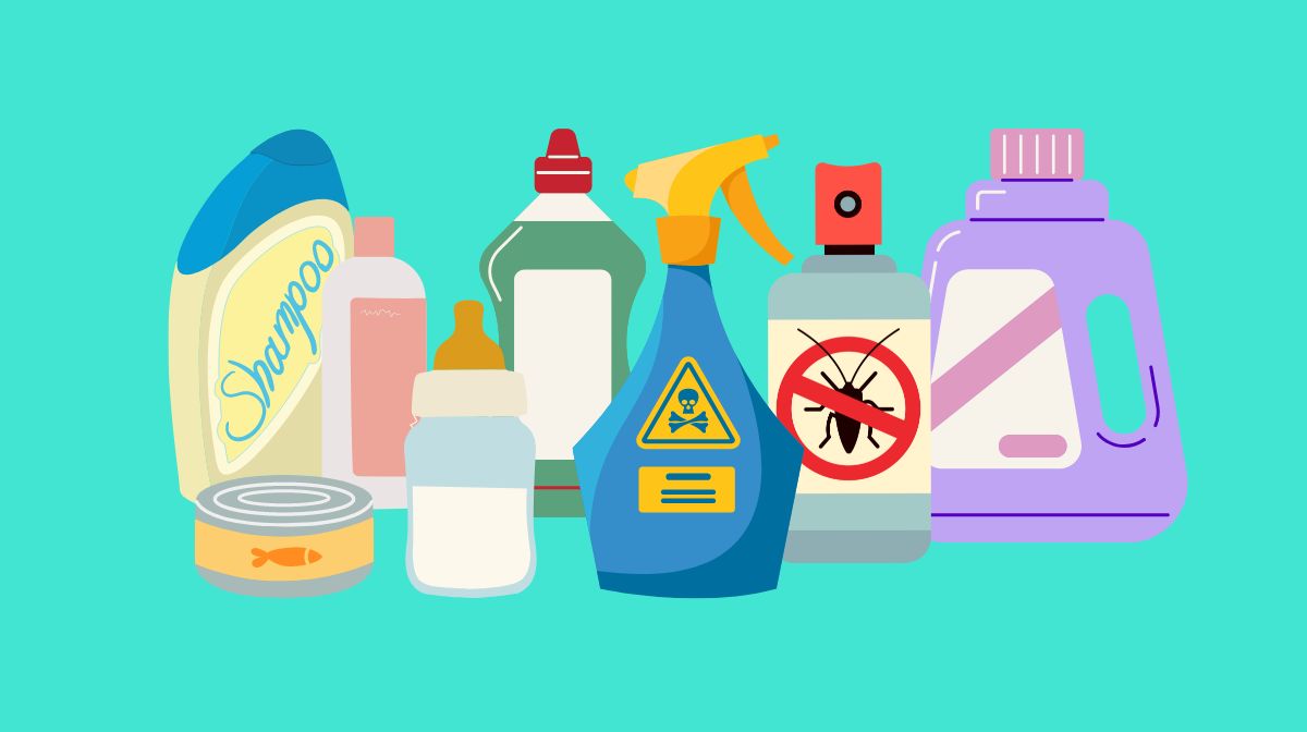 Perturbateurs endocriniens · Inserm, La science pour la santé