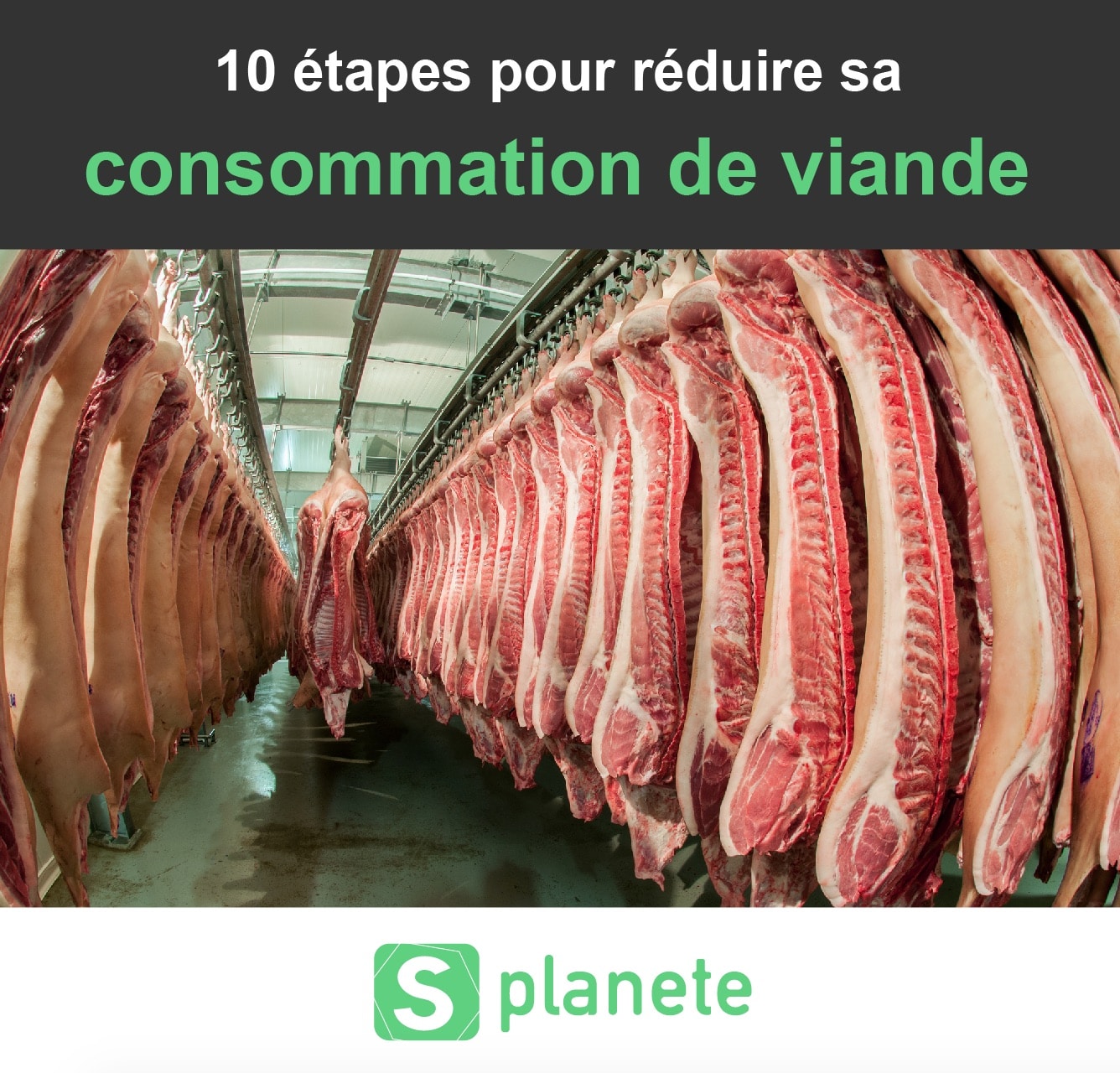 10 étapes pour réduire sa consommation de viande - Planète Healthy