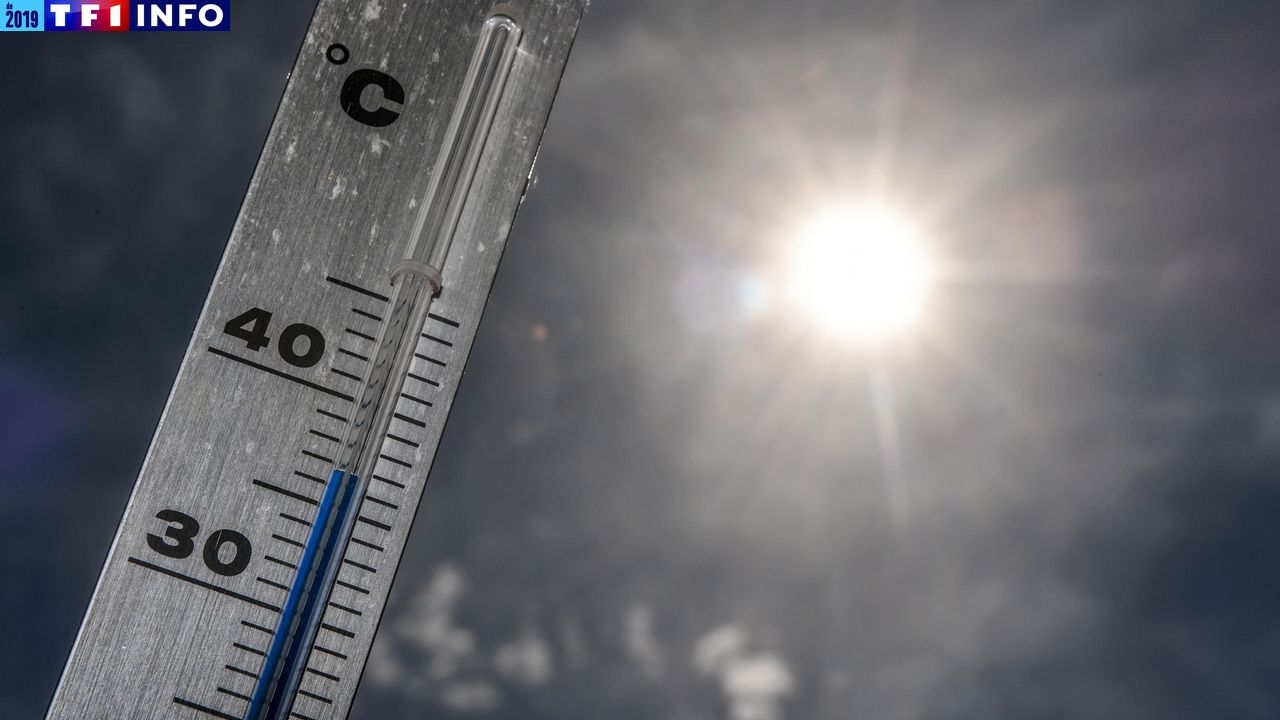 Réchauffement climatique : pourquoi les canicules seront plus intenses et plus fréquentes | TF1 Info