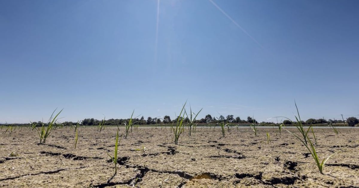 Réchauffement climatique : de nouvelles projections scientifiques très alarmantes